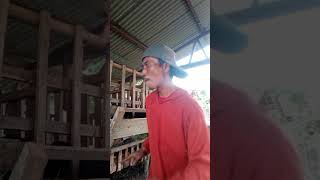 Runtah shortvideo hiburanjoget tukangngarit salamngarit ternakkambing [upl. by Jason157]