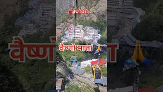 Mata vaishno Devi 🙏 matarani vaishnodevidairies jaimatadi shortsvideo [upl. by Ahsikit]