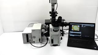 Olympus IX81 Inverted Fluorescence Motorized XY Microscope BOSTONIND  49913 [upl. by Isiah194]