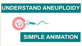 Aneuploidy in Humans Chromosome anomalies  Learn about Aneuploidy with This Simple Animation [upl. by Thorne]