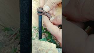 How to tie a rope to an iron pole to create the most effective force shorts knot [upl. by Kanya888]