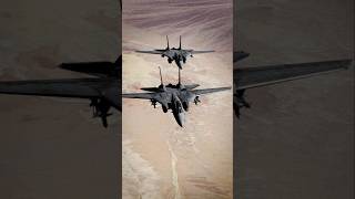 F14B Tomcats Refuel Over Nevada Desert F14Tomcats NevadaDesert shorts fighterjet [upl. by Aneev]