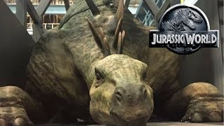 Jurassic World Fallen Kingdom News  Mercenaries Dinosaur Auction Jeff Goldblum and Trailer Date [upl. by Elisha535]