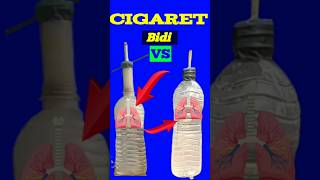 cigarette vs lungscigarette vs vape lungsvaping lungs vs cigarettes lungs [upl. by Fredella343]