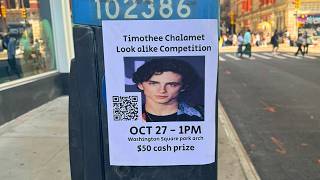 how i started the timothee chalamet lookalike contest [upl. by Arahsak814]