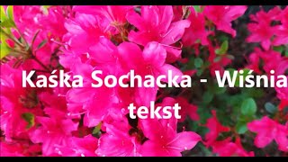 Kaśka Sochacka  Wiśnia  Tekst [upl. by Kolk]