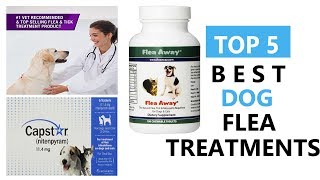 Best Dog Flea Treatments  Top 5 Best Dog Flea Treatments Review [upl. by Skeie]