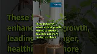 Amazing Benefits of Organic Fertilizer for Your Garden facts shorts businessimpact [upl. by Ahsilem918]