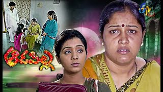 Aadapilla  14th December 2020  Full Episode 173  ETV Plus [upl. by Helprin115]