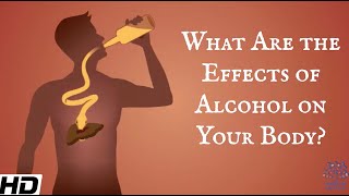 What Are The Effects Of Alcohol On Your Body [upl. by Sucramd660]