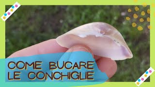 Come bucare facilmente le conchiglie con un cucchiaio [upl. by Bone155]