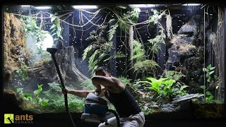 Flying Fire Ant Queens Broke Into My Giant Rainforest Vivarium [upl. by Divad]