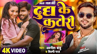 Video  दूध के कटोरी  Ft Somya Pokhrel  ShilpiRaj  Dudh Ke Katori  New Bhojpuri Song 2024 [upl. by Htenaj]