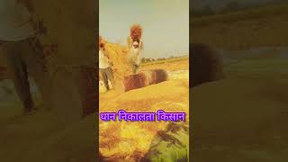 Kheta mein song haryanvi viralshorts [upl. by Phail]