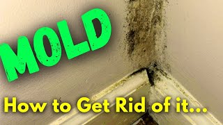 DIY Mold Remediation  What to Do If You Find MOLD and When You Should Call a Professional [upl. by Petes]