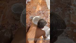 வீடு கட்டும் போது டைல்ஸ் DAMAGE ஆகாமல் இருக்க சூப்பர் வழி👌  POP floor protection  Gypsum powder [upl. by Assirehs679]