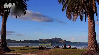 The Coromandel New Zealand [upl. by Afnin]