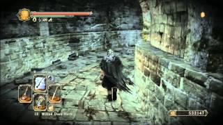 Dark Souls 2  Giant Memories Farming Guide  Unlimited Bonfire Ascetics and Soul Vessels [upl. by Aeslehc4]