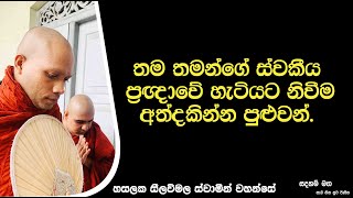 තම තමන්ගේ ස්වකීය ප්‍රඥාවේ හැටියට නිවීම අත්දකින්න පුළුවන්2491Ven Hasalaka Seelawimala Thero [upl. by Nirehs]