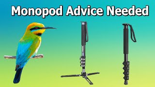 Monopod Advice Needed for Bird Photography [upl. by Pearman713]