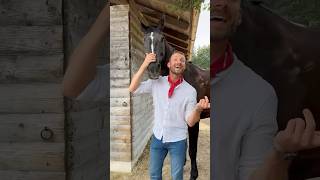 Erkennt ihr alle aus dem Video 🤠🐴 horse pferd pferde pferdecamp shorts equestrian [upl. by Esinal522]