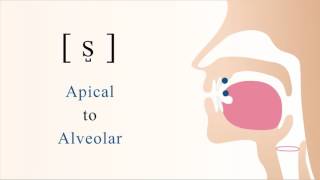 s̺  s  unvoiced apical alveolar sibilant fricative [upl. by Ithsav]