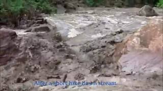 Historic Flash Flood in Zion National Park PEOPLE TRAPPED The Narrows [upl. by Ahtinak]