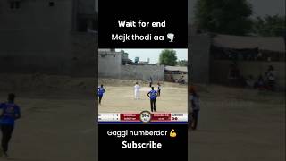 cricket cricketlover new tournament tournamet viralvideos viralshorts cricketfans viralreel [upl. by Yelrah388]