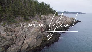 The Bank of YES [upl. by Carlos857]