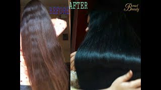 2 Step Henna Indigo Process Dye Hair Black Naturally With HennaIndigo [upl. by Macleod636]