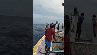 എന്താണ് Pole and Line FishingPart 02  Lakshadweep Sustainable Fishingyoutubefishingtravellers [upl. by Alhahs232]