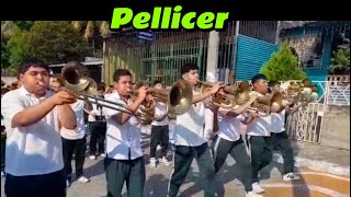 PELLICER MARCHING BAND [upl. by Ahsiym790]