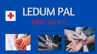 WHY DO YOU NEED HOMOEOPATHIC MEDICINE LEDUM PAL IN YOUR FIRST AID KIT [upl. by Lucania]