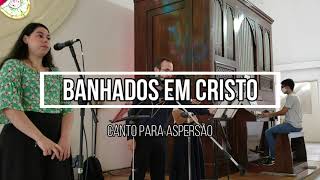 Banhados em Cristo Canto para aspersão  Órgão de Tubos [upl. by Nnailuj]