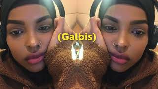 Nasteexo Indho  Galbis slowed  reverb [upl. by Aihsoj]