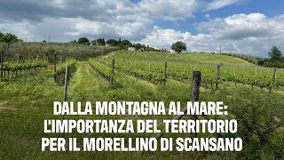 Dalla montagna al mare limportanza del territorio per il Morellino di Scansano [upl. by Repsag]