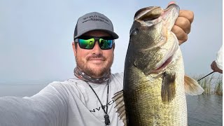 Lake Okeechobee Fall Fishing Report Big numbers of fish [upl. by Grindlay]