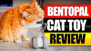 Do Cats Like the Bentopal Robot Toy  Real World Review [upl. by Zacks]