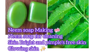 Neem soap Making 🧼 Natural soap 🧼 Neem soap for Beginner friendly class skin brightening [upl. by Lyle]