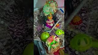 tu dekh Bharosa karke tari sayam radhe shyam radhe [upl. by Enyawud]