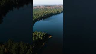 Rėkyvos ežero pietinė pakrantė The southern coast of Lake Rekyva SHORTs drone lake [upl. by Henebry]