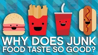 Why Does Junk Food Taste SO GOOD  Earth Science [upl. by Tabitha779]