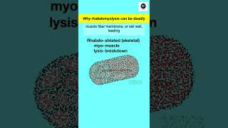 Rhabdomyolysis Why overworked muscles can be deadly rhabdomyolysis rhabdo muscledamgage [upl. by Shapiro]