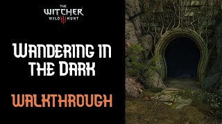 The Cave Of Dreams  First Playthrough  The Witcher 3 Wild Hunt  Part 24 [upl. by Yendirb]