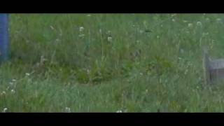 hybrid potato gun shoots a hardened nail at a steel plate slow motion [upl. by Ylrebmic]