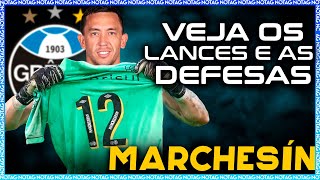 BEM VINDO AO GRÃŠMIO AUGUSTIN MARCHESÃN LANCES E DEFESAS 2024 [upl. by Sashenka611]