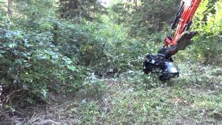 Defender Brush Mulcher by RockHound Attachments on Kubota Excavator [upl. by Ytoc234]