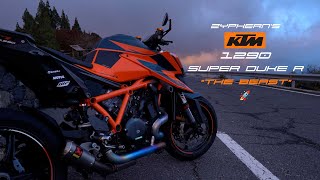 KTM 1290 Super Duke R quotThe Beastquot [upl. by Goraud]