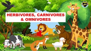 Herbivores  Carnivores  Omnivores  Types of Animals [upl. by Ahsiam]