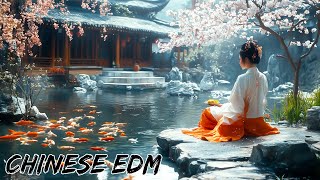 Chinese Song Remix 2024  Best Chinese EDM Hits 2024 [upl. by Yennor449]